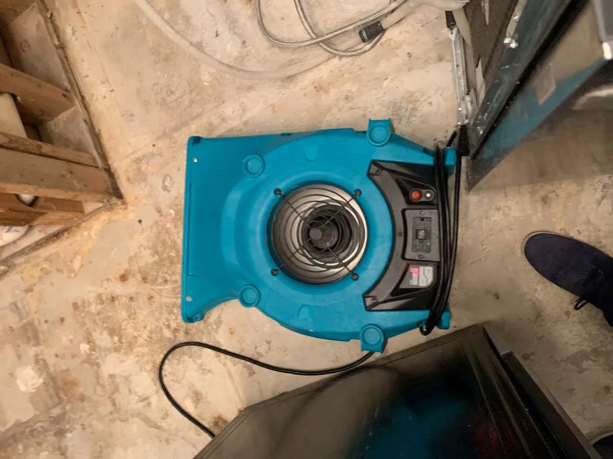 Air mover drying equipment for Mold Remediation & Removal in Milledgeville
